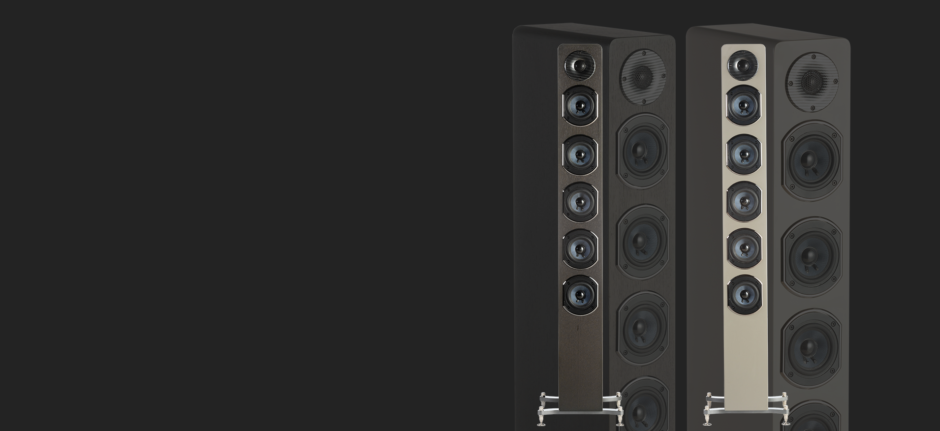 嘉兴迪贝斯电声股份有限公司